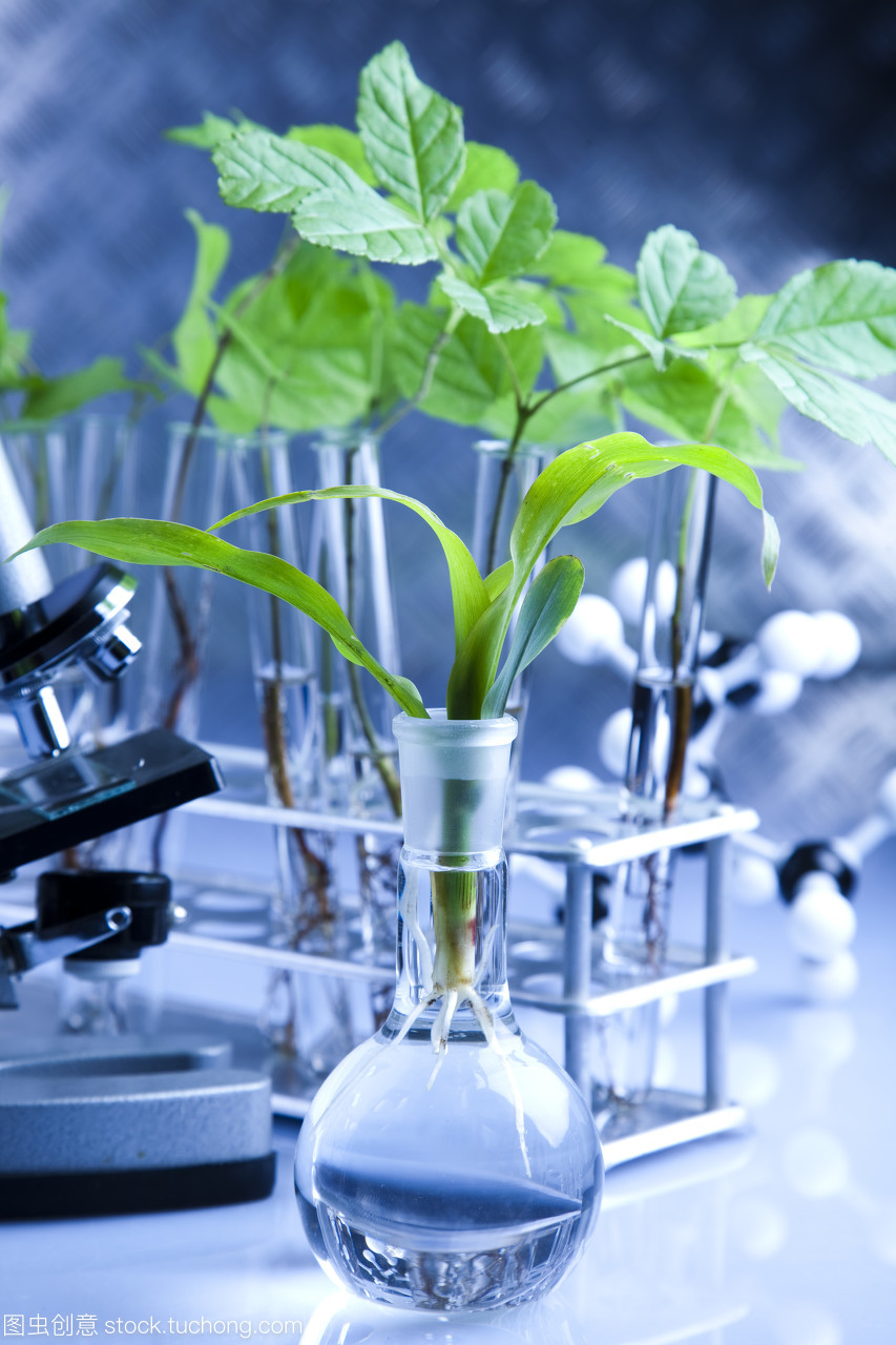 实验室中的自然诗篇 当生物科技遇见植物生长