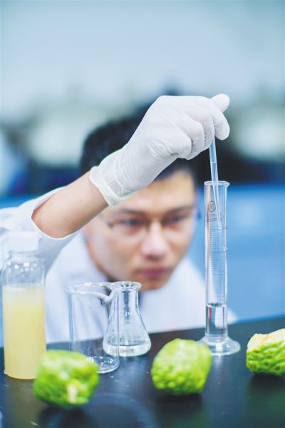 香饮琼州——海岛人民的“花样饮夏”与生物科技研究